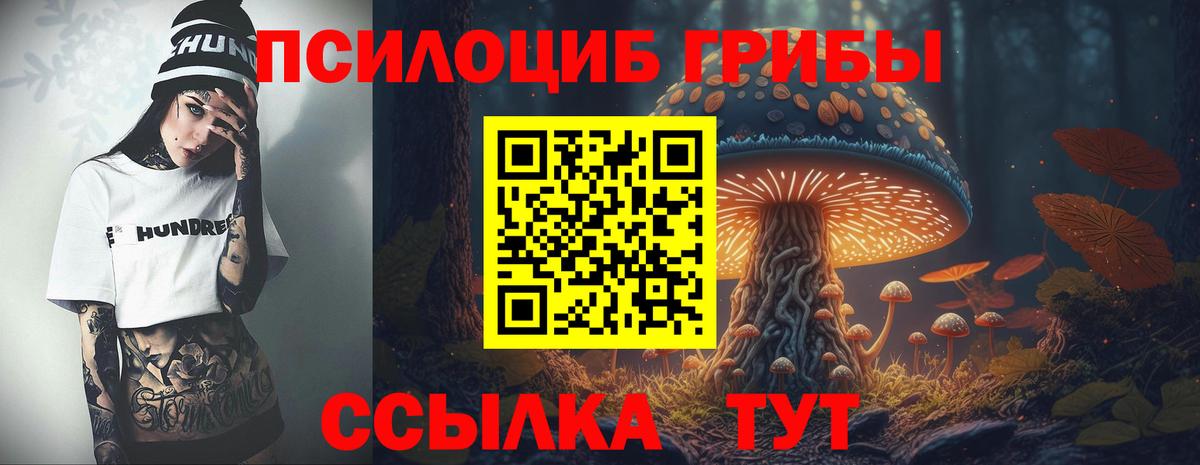 Псилоцибиновые грибы мицелий Семилуки